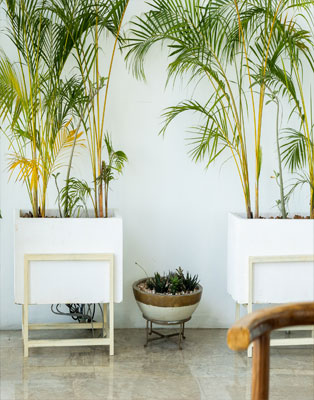 The Esthetic Zone Clinic