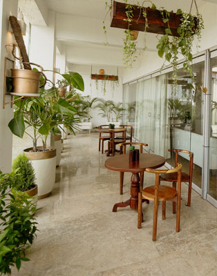 The Esthetic Zone Clinic
